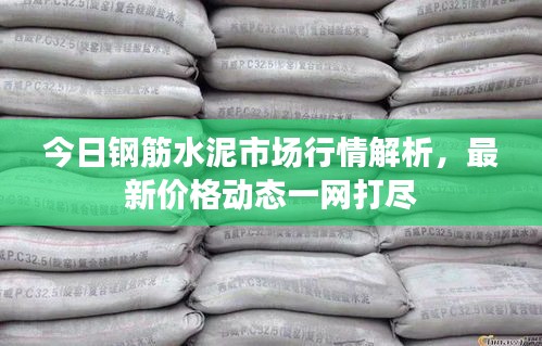 今日钢筋水泥市场行情解析，最新价格动态一网打尽
